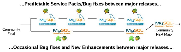 Figure 1 - Enterprise/Community Server Code Branch